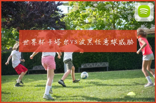 世界杯卡塔尔vs波黑任意球威胁