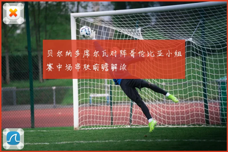 贝尔纳多席尔瓦对阵哥伦比亚小组赛中场串联前瞻解读