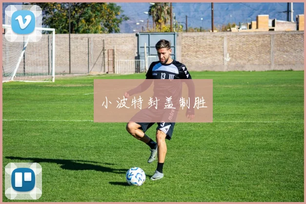 小波特封盖制胜