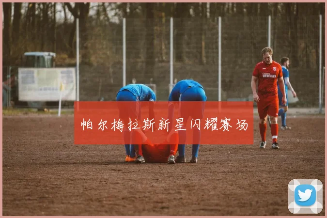 帕尔梅拉斯新星闪耀赛场