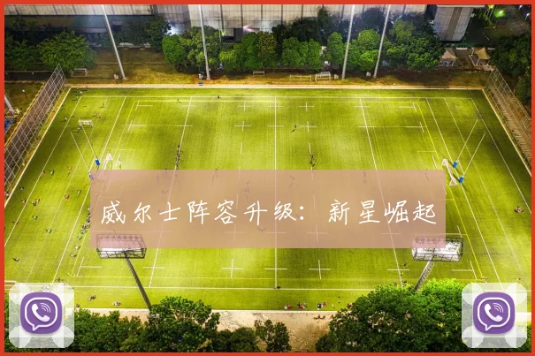威尔士阵容升级：新星崛起