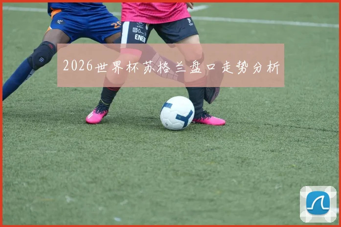 2026世界杯苏格兰盘口走势分析