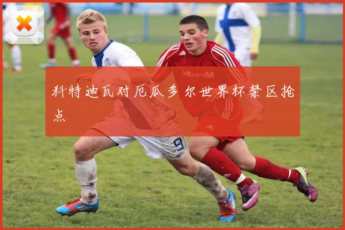 科特迪瓦对厄瓜多尔世界杯禁区抢点