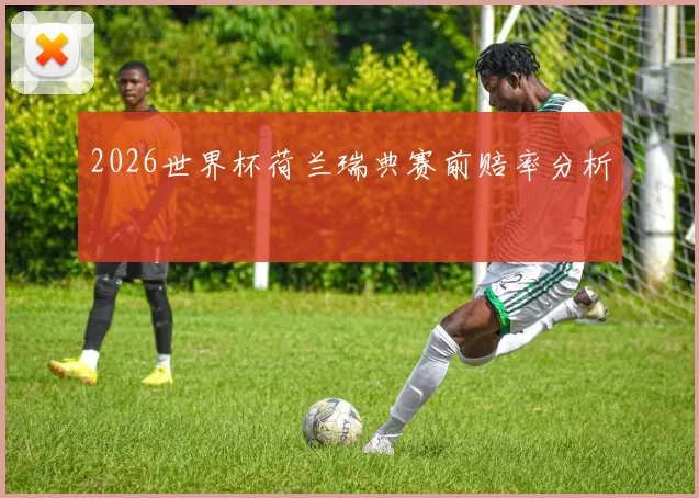 2026世界杯荷兰瑞典赛前赔率分析
